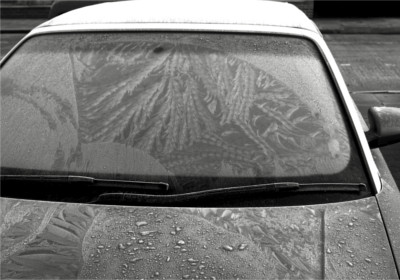 Vinter frost